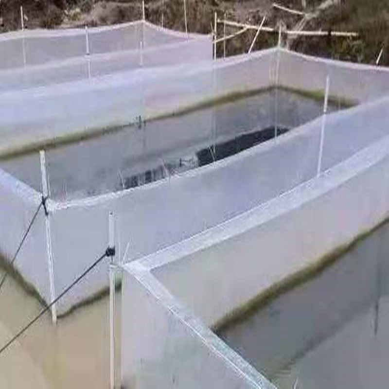 Aquarium Fish Escape - 白い脱出防止ネットケージ ウナギ ナマズ イソギンチャクの稚魚 給餌池 給餌稚魚孵化ネットケージ