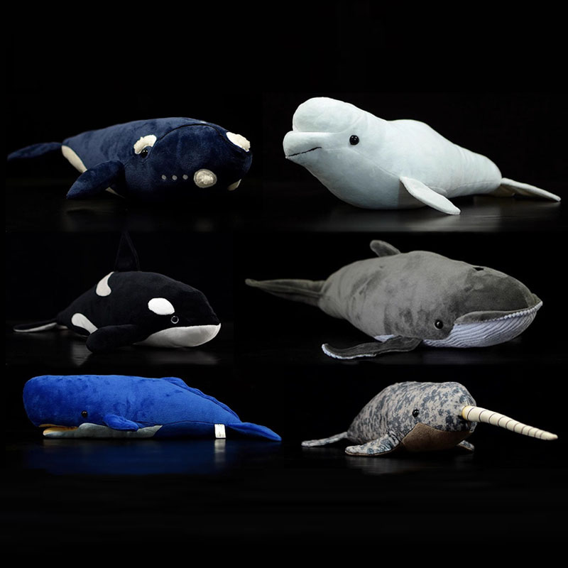 Wild Aquarium Fish - シミュレーション動物キラー バレーン白鯨 シャチ モビーディック 海洋魚 野生