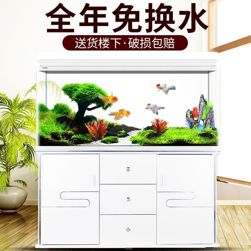 Aquarium Xilong - 西龍水槽 アクアリウム 小型・中型 リビングルーム 家庭用 簡単水換え