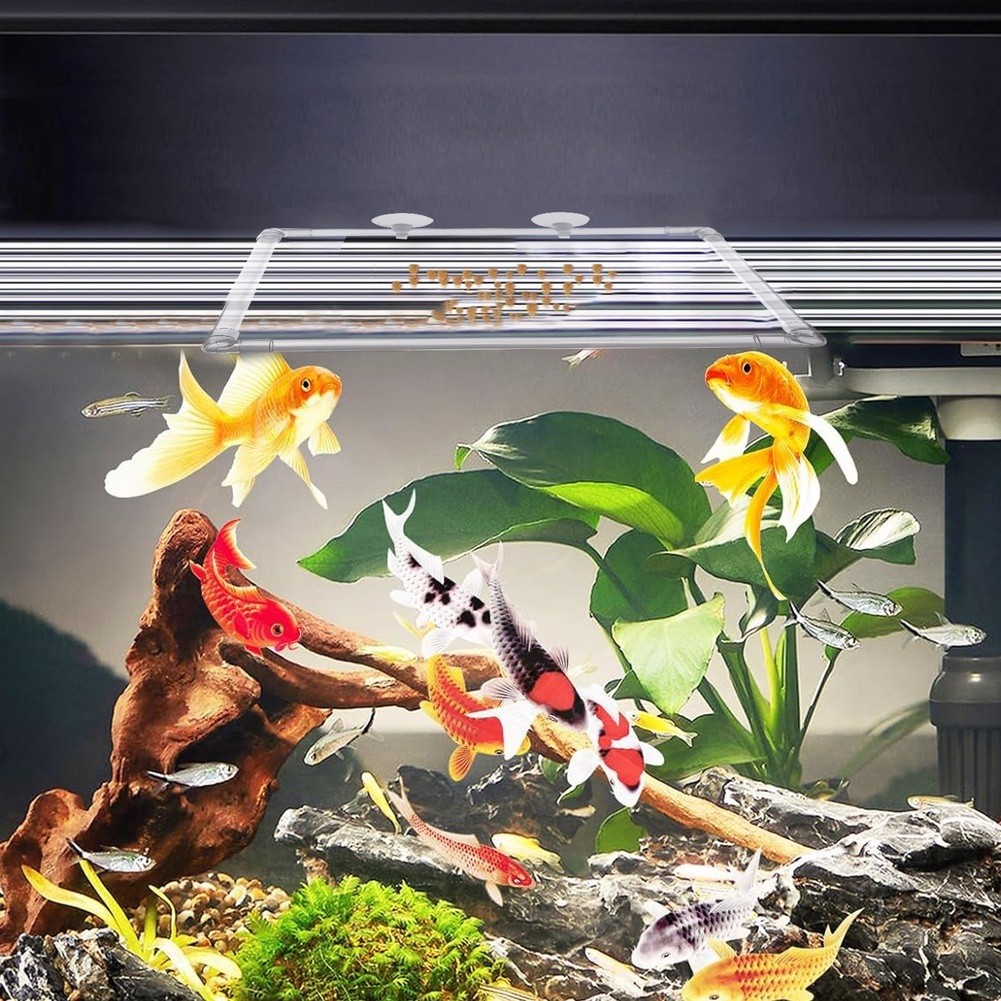 Aquarium Fish Zone - 水槽用フローティングプラントコーラル（アクリル製水槽や屋外池用）生きたフローティングプラントを収容し、給餌ゾーンを作成します