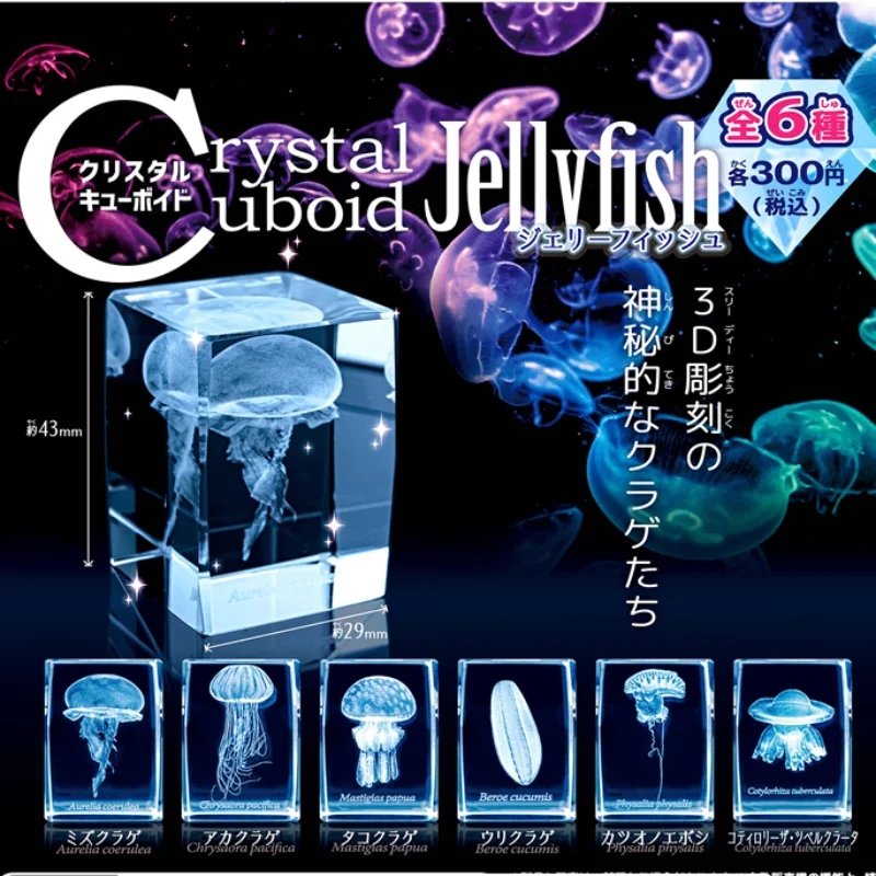 Aquarium Fish Discus - 日本のゴラシオンフィギュア,3Dクリスタル,岩の鯉の水槽,かわいいカプセル,アニメの装飾ギフト