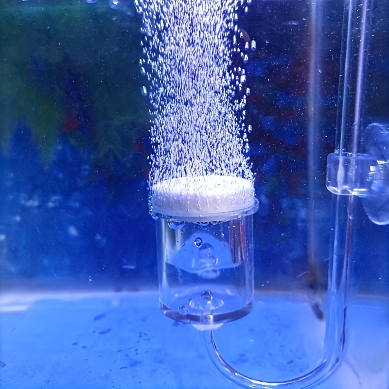 Aquarium Fish Photography - 水族館用のCO2噴霧器とディフューザー,バブルカウンター,吸盤で確認,植えられた水槽の付属品