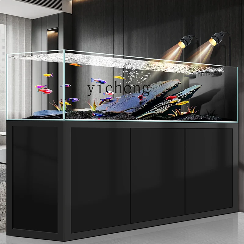 Wild Aquarium Fish - Y1オリジナル生態野生採掘済み川水槽水槽アクアリウム家庭用超白水景底面フィルター草水槽