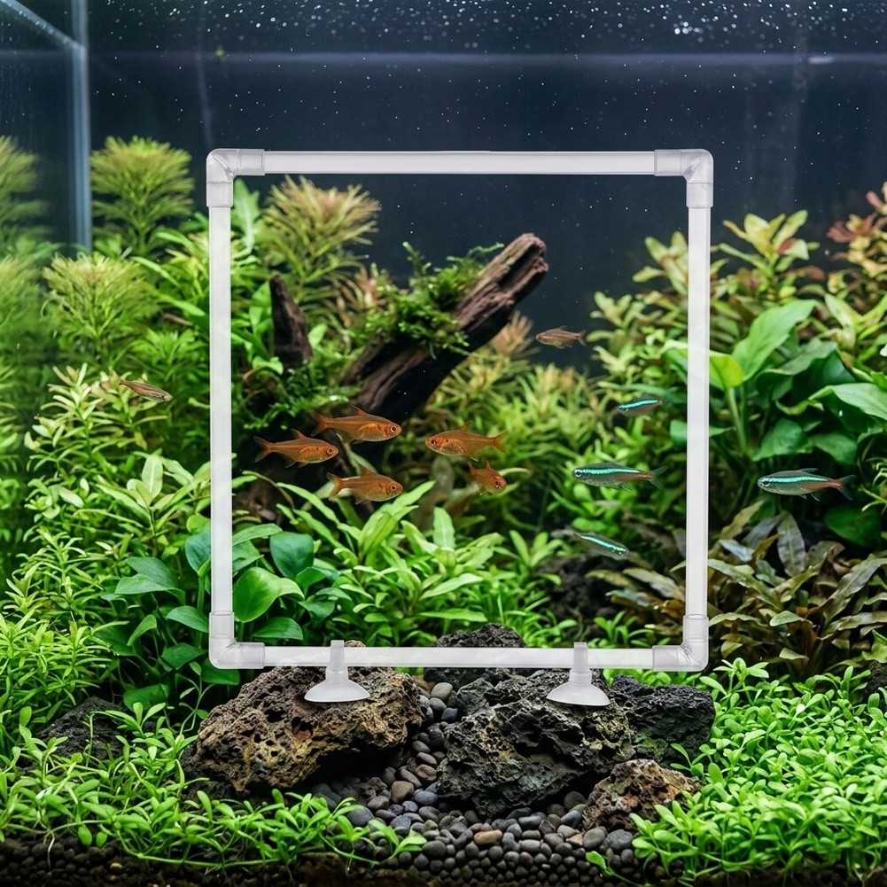 Aquarium Fish Zone - 水槽用フローティングプラントコーラル（アクリル製水槽や屋外池用）生きたフローティングプラントを収容し、給餌ゾーンを作成します