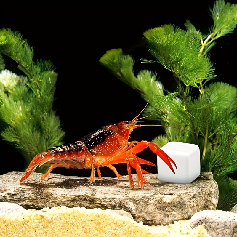 Aquarium Fish Lego - 6個入り 魚タンク用カルシウムブロックミネラル 水槽用品 爬虫類研磨用クロールキューブ 亀用石 カタツムリ用タンクカルシウム