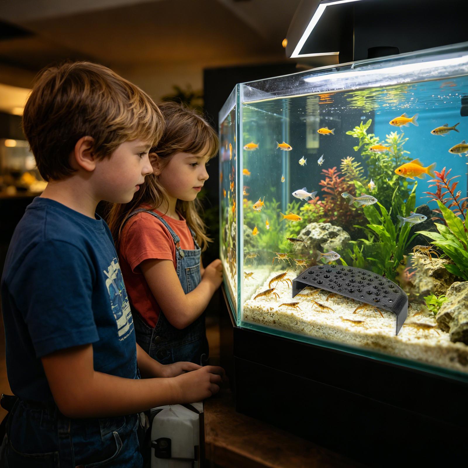 水生ペット用休憩飾り物、多穴繁殖シェルター、淡水エビやベタ魚 - Aquarium Fish Zone のレビューと価格