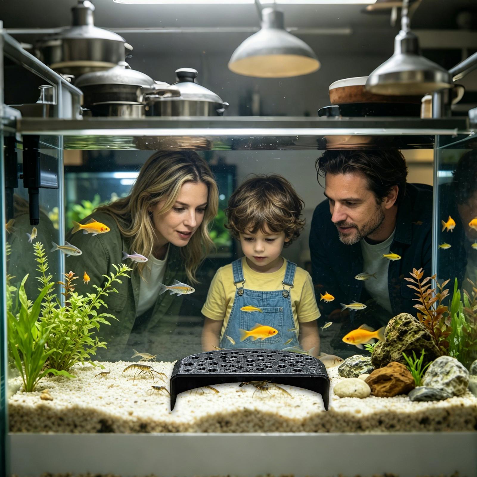 水生ペット用休憩飾り物、多穴繁殖シェルター、淡水エビやベタ魚 - Aquarium Fish Zone のレビューと価格