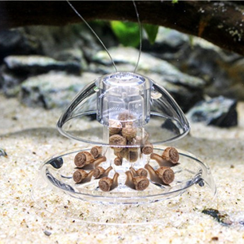 1 個水槽水族館クリーナーカタツムリトラップキャッチャー植物 - Aquarium Fish Escape のレビューと価格