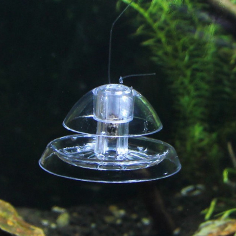 1 個水槽水族館クリーナーカタツムリトラップキャッチャー植物 - Aquarium Fish Escape のレビューと価格