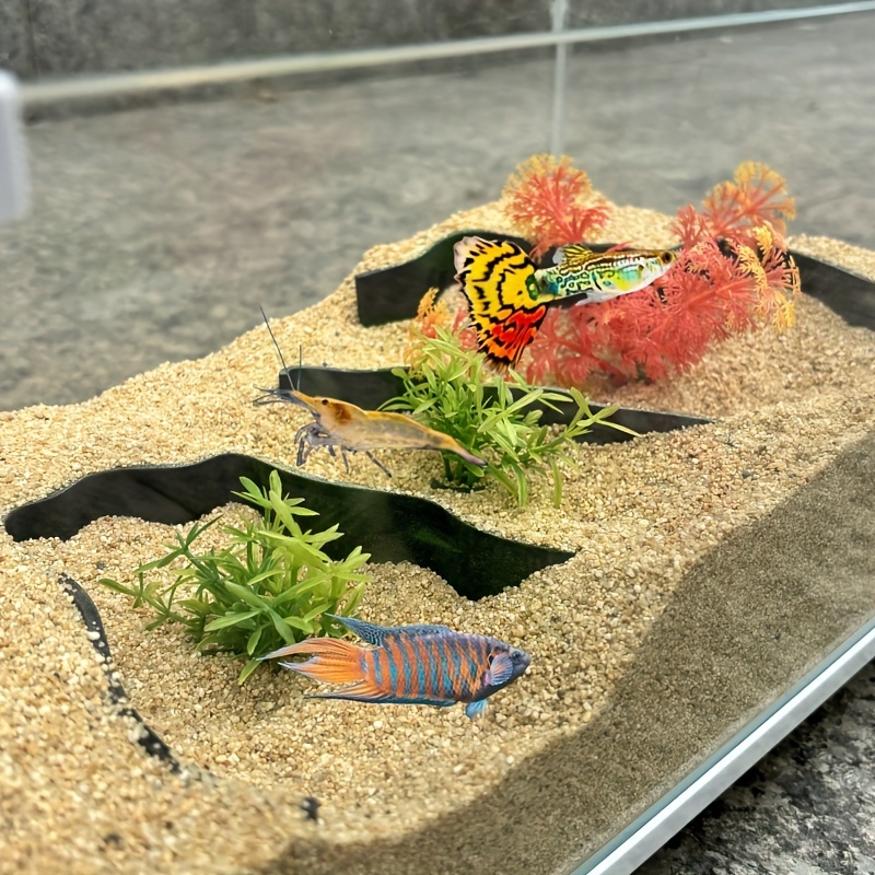 3ピース水槽隔離壁 |   魚、エビ、魚などのためのアドベン - Aquarium Fish Zone のレビューと価格
