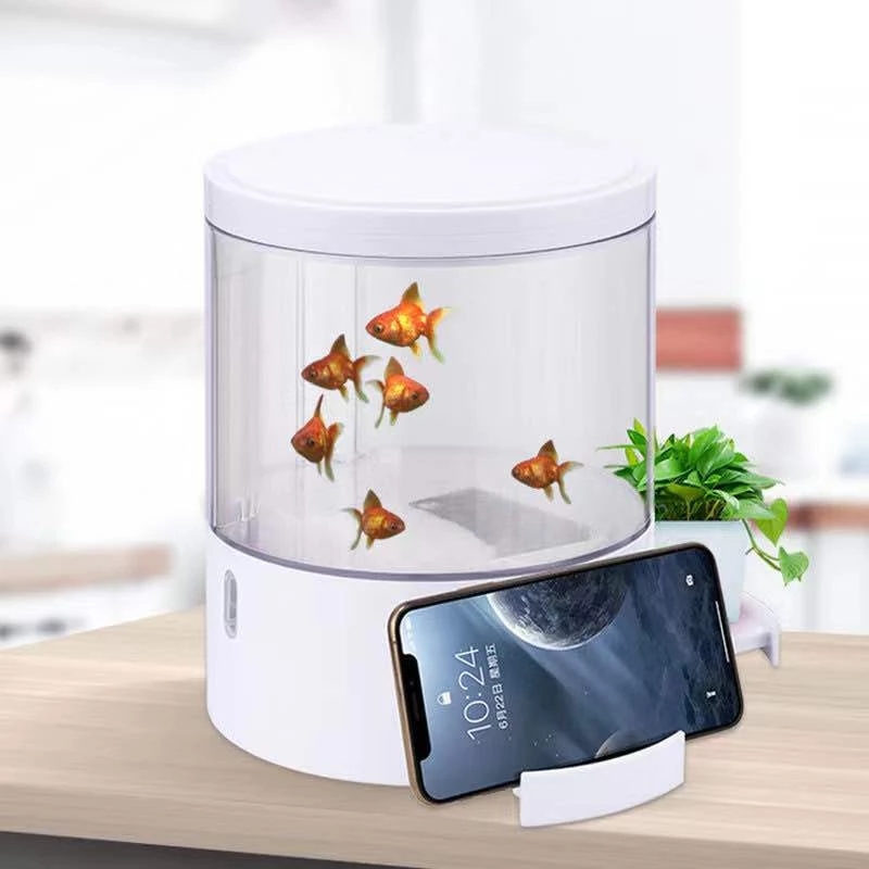 ラウンドカラフルなライトデスクトップ水槽ミニ戦闘水槽小さな金 - Aquarium Fish Goldfish のレビューと価格