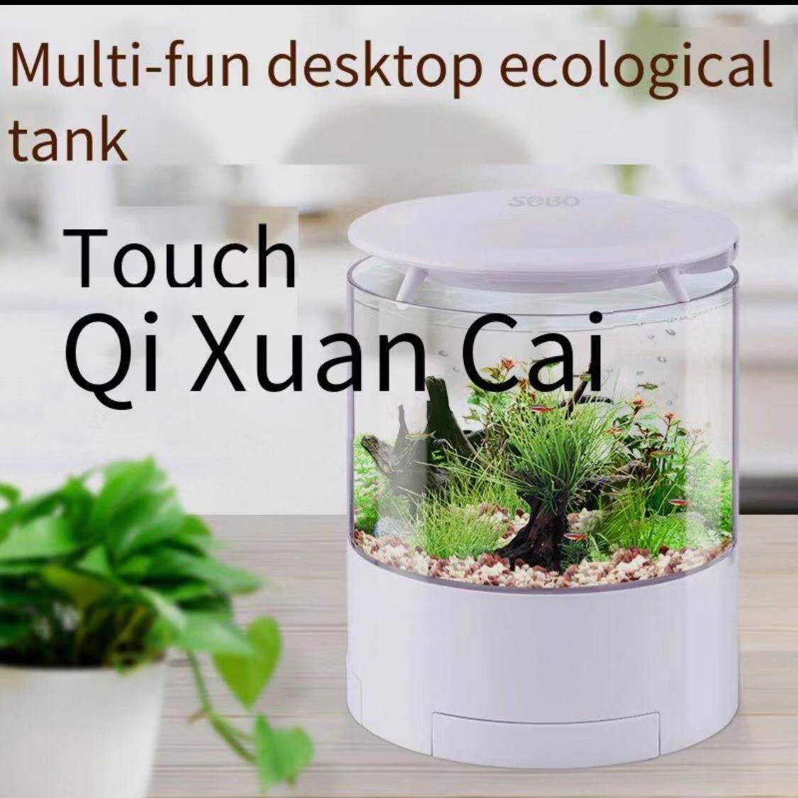ラウンドカラフルなライトデスクトップ水槽ミニ戦闘水槽小さな金 - Aquarium Fish Goldfish のレビューと価格