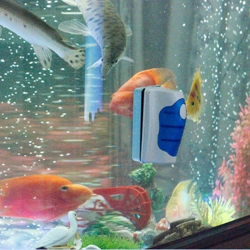 水族館用の超磁性ガラススクレーパー,洗浄ブラシ - Aquarium Fish Escape のレビューと価格