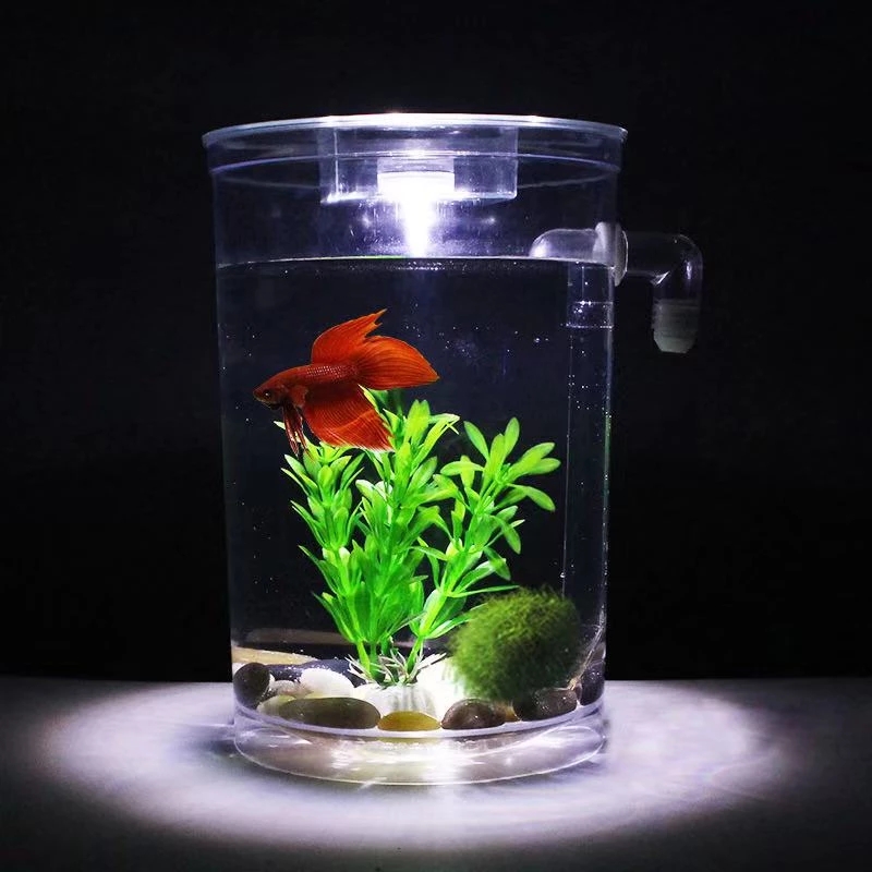 怠惰な無料水交換デスクトップ水槽ミニクリエイティブ金魚水槽小 - Aquarium Fish Goldfish のレビューと価格