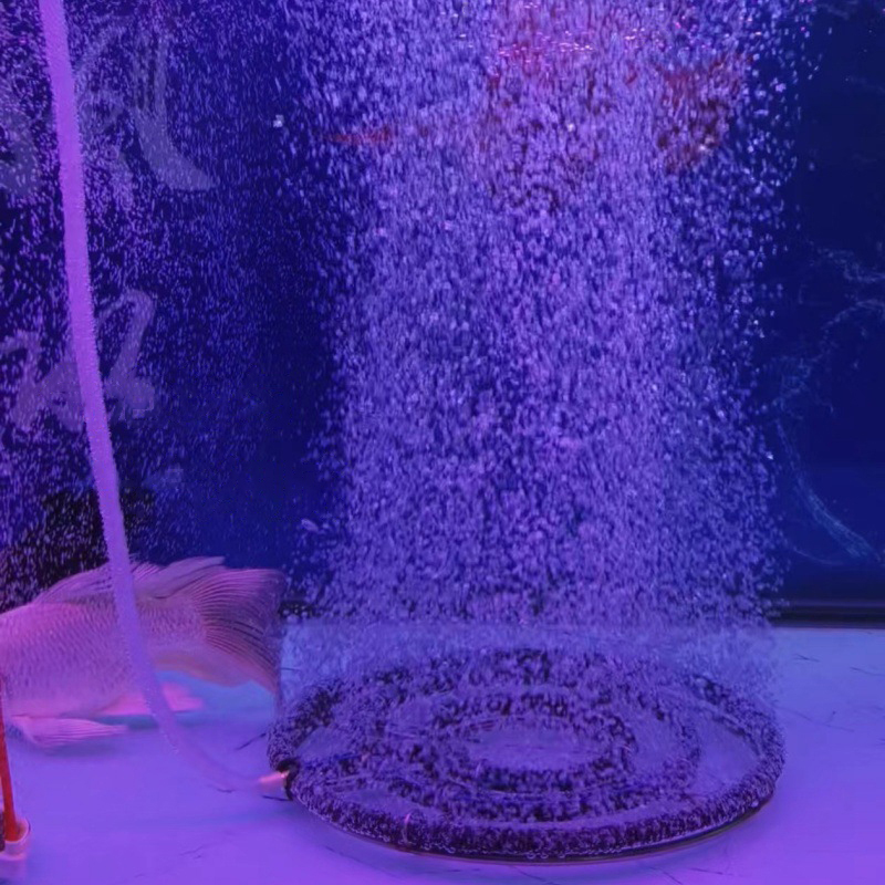 304ステンレス鋼ナノ酸素エアレーションディスク魚池鯉水槽酸 - Aquarium Fish Discus のレビューと価格