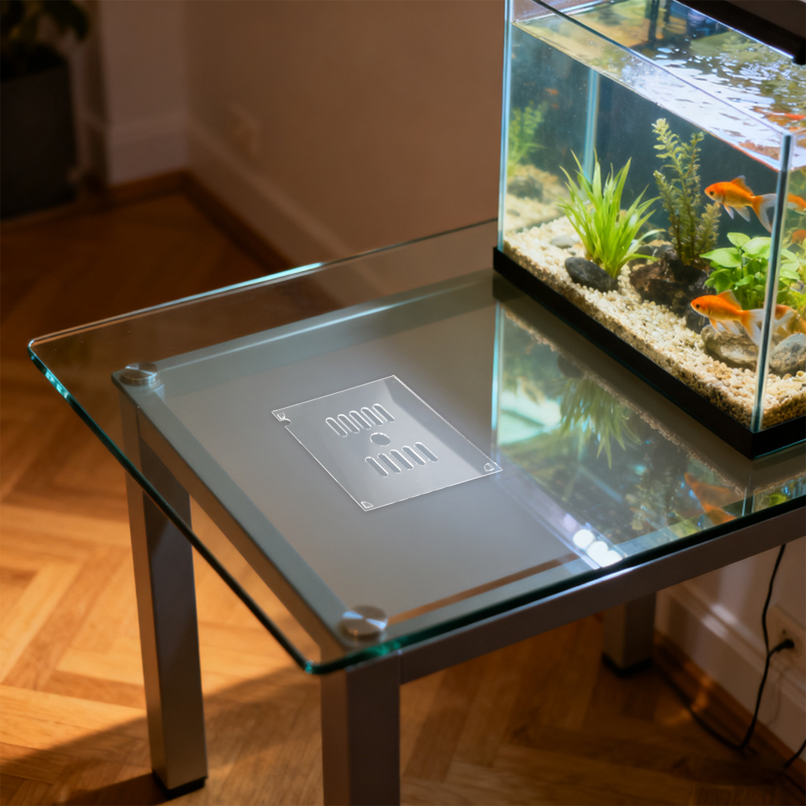 2個入り アクリル製 魚タンク蓋 15cm 円形 アクアリウ - Aquarium Fish Escape のレビューと価格