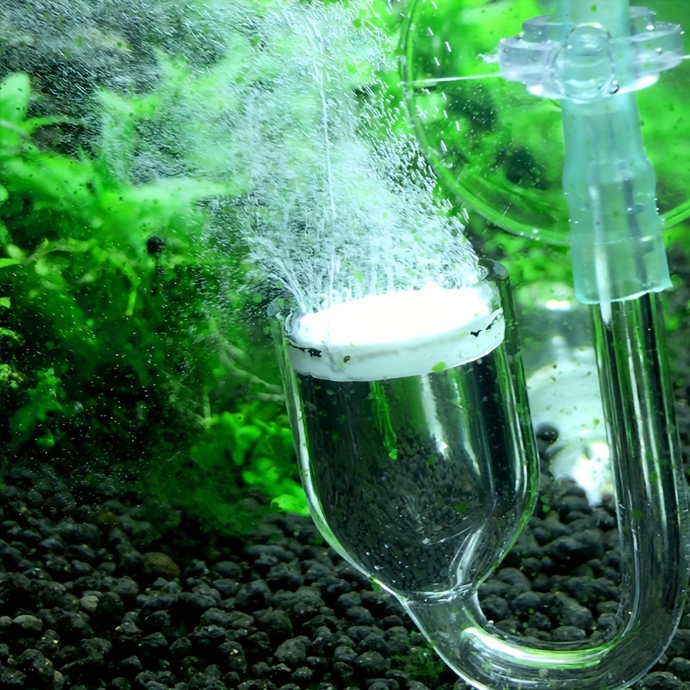 水族館用のCO2噴霧器とディフューザー,バブルカウンター,吸 - Aquarium Fish Photography のレビューと価格