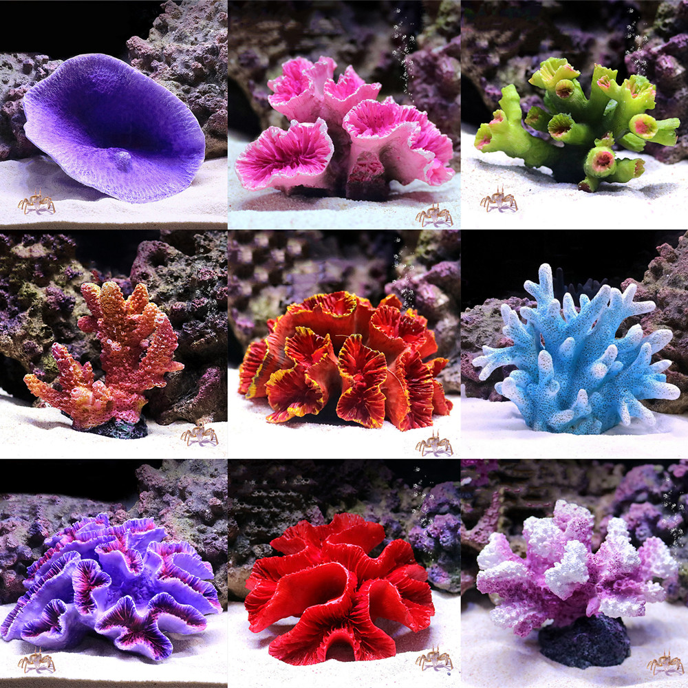 人工樹脂サンゴ礁水族館の装飾品、造園の水槽の装飾、家庭用アク - Aquarium Fish Discus のレビューと価格