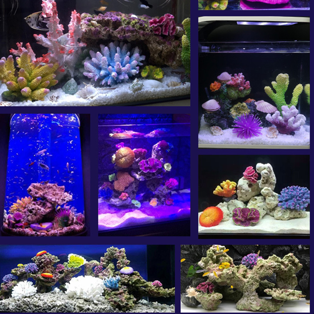 人工樹脂サンゴ礁水族館の装飾品、造園の水槽の装飾、家庭用アク - Aquarium Fish Discus のレビューと価格