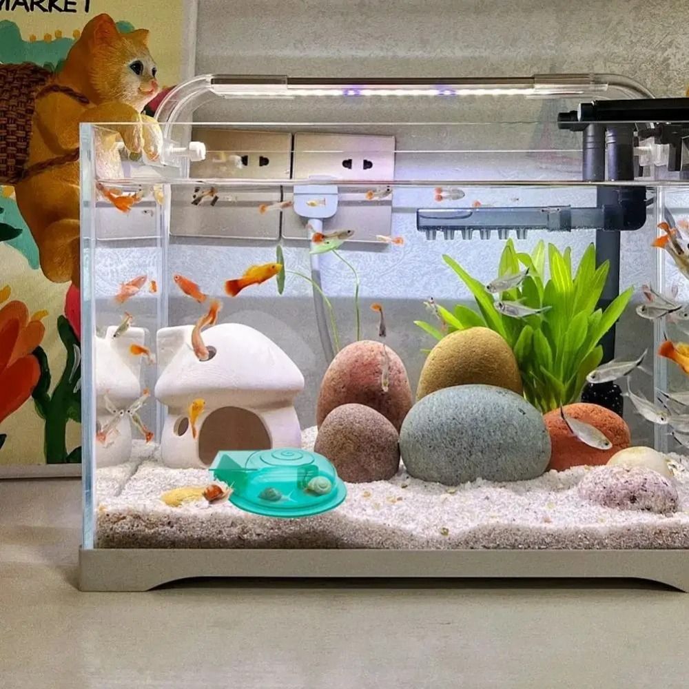 淡水海水水槽カタツムリトラップ効果的な多目的カタツムリ捕獲器 - Aquarium Fish Escape のレビューと価格