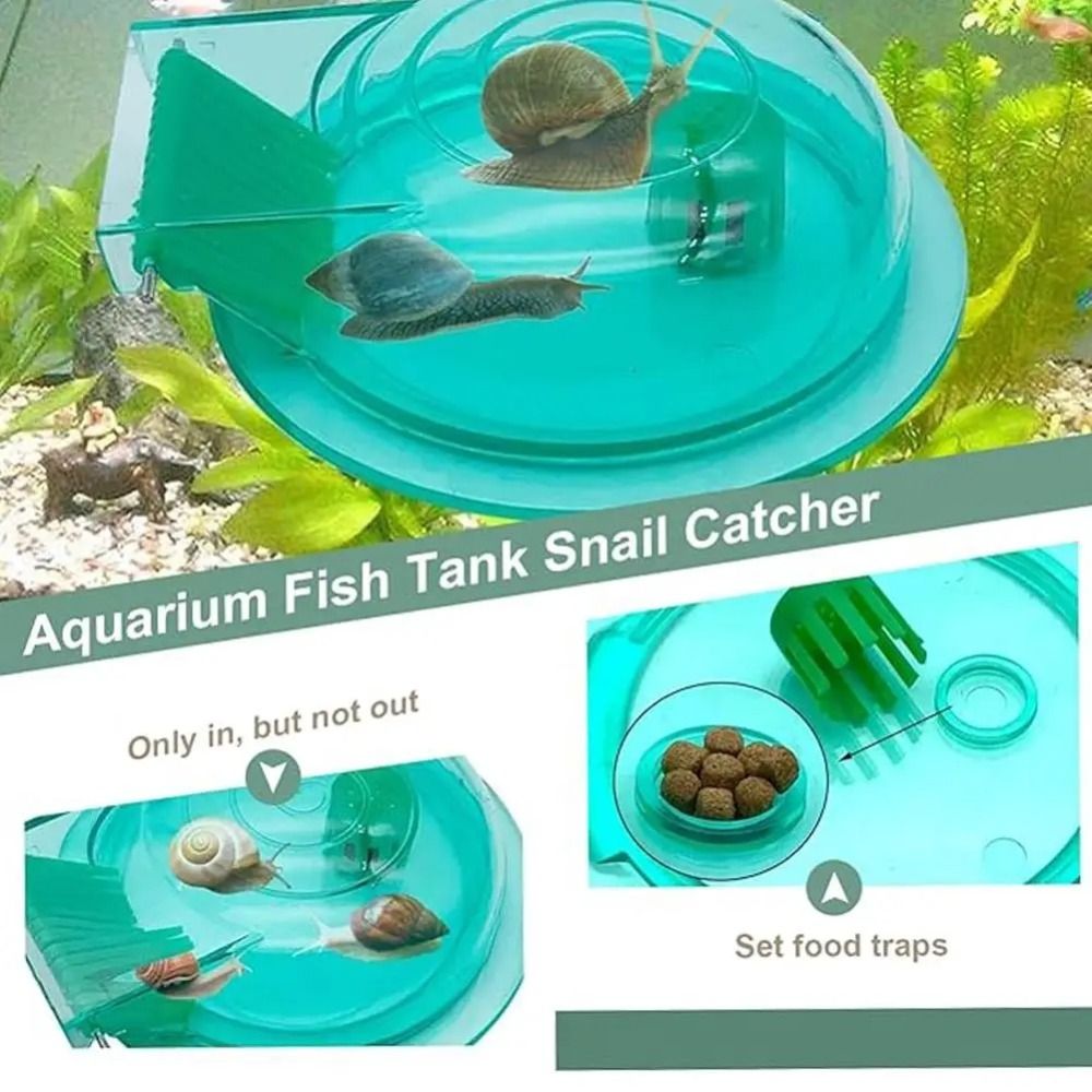 淡水海水水槽カタツムリトラップ効果的な多目的カタツムリ捕獲器 - Aquarium Fish Escape のレビューと価格