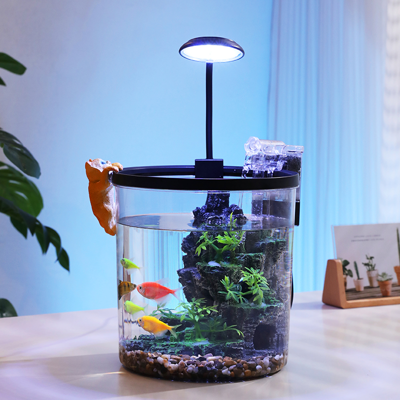 コンパクトな丸型金魚鉢 - 酸素供給と流水エコサイクルを備え - Aquarium Fish Goldfish のレビューと価格