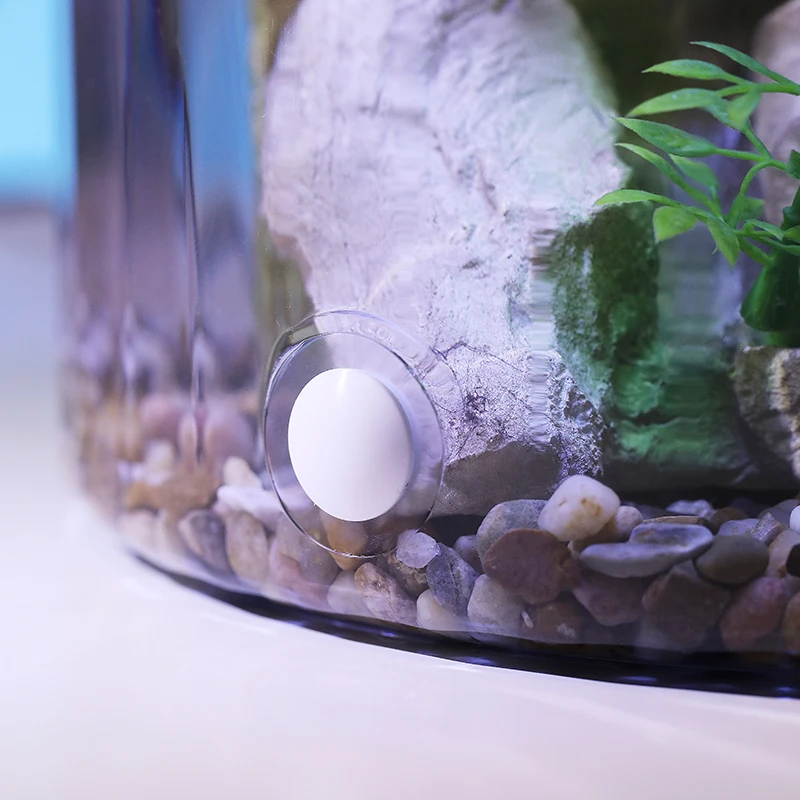 コンパクトな丸型金魚鉢 - 酸素供給と流水エコサイクルを備え - Aquarium Fish Goldfish のレビューと価格