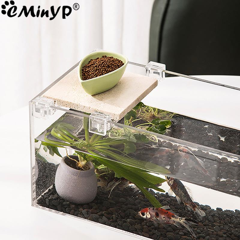 4 個の水槽アクリルクリップ 5.5 ミリメートル〜 15  - Aquarium Fish Photography のレビューと価格