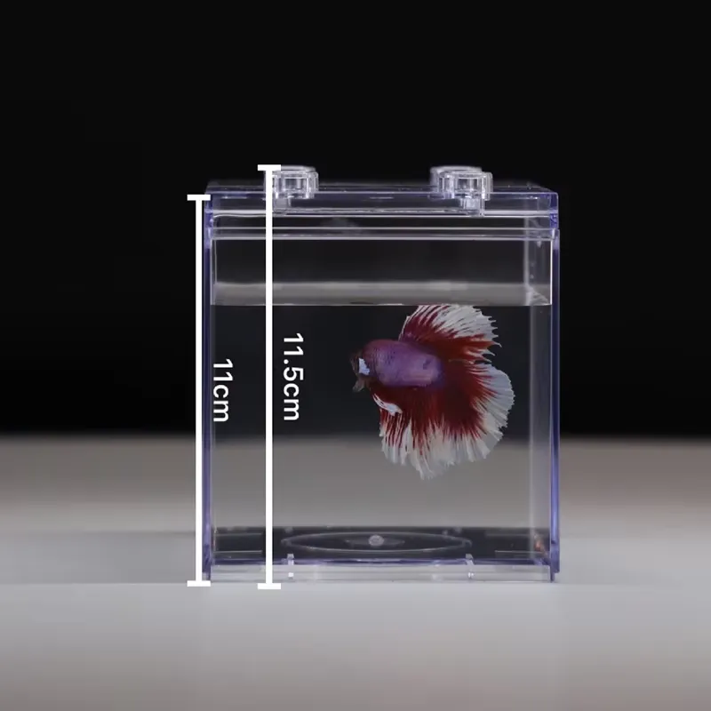 リラックスラインズ ミニ水槽ボックス テーブルデコレーション - Aquarium Fish Light のレビューと価格