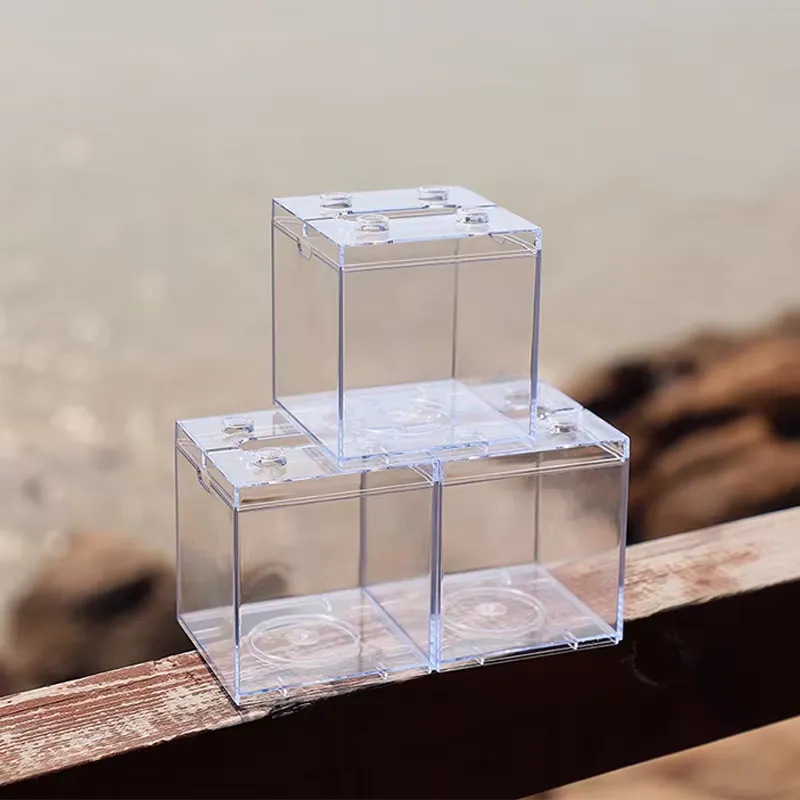 リラックスラインズ ミニ水槽ボックス テーブルデコレーション - Aquarium Fish Light のレビューと価格
