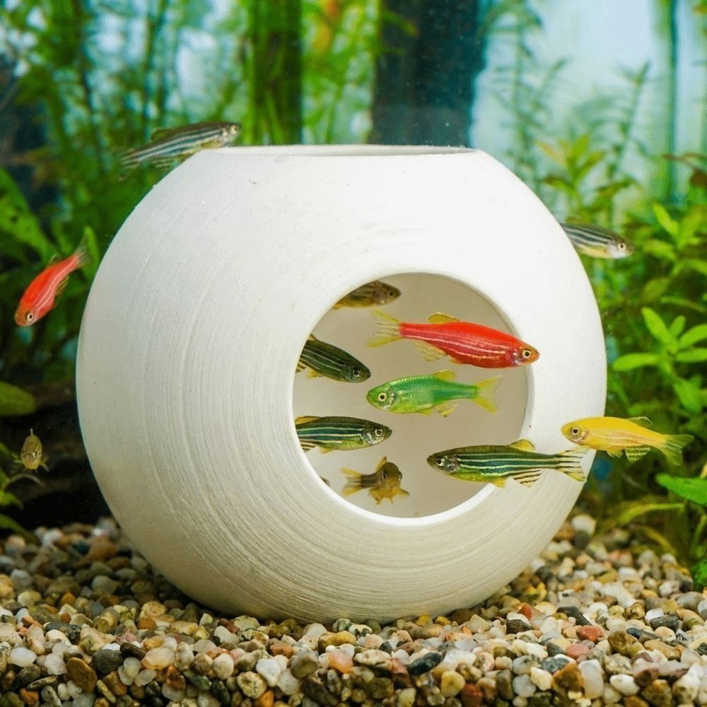 プラスチック製の魚エビ隠れ家球形3Dプリント魚トンネル魚のス - Aquarium Fish Discus のレビューと価格