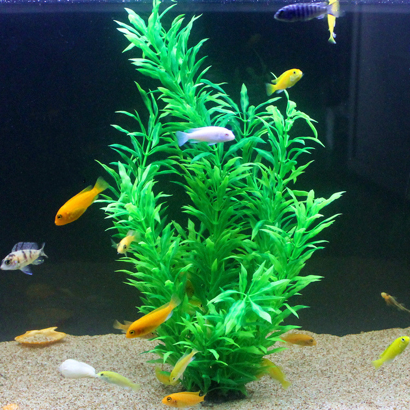 人工水槽50cm,珍しい植物,水族館,偽の竹の葉,水草,プラ - Aquarium Fish Photography のレビューと価格