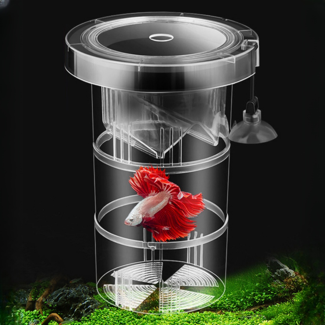 アクリル製浮遊魚繁殖隔離ボックス水槽飼育者フィーダー水槽孵化 - Aquarium Fish Escape のレビューと価格