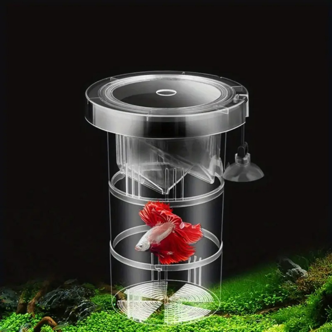 アクリル製浮遊魚繁殖隔離ボックス水槽飼育者フィーダー水槽孵化 - Aquarium Fish Escape のレビューと価格