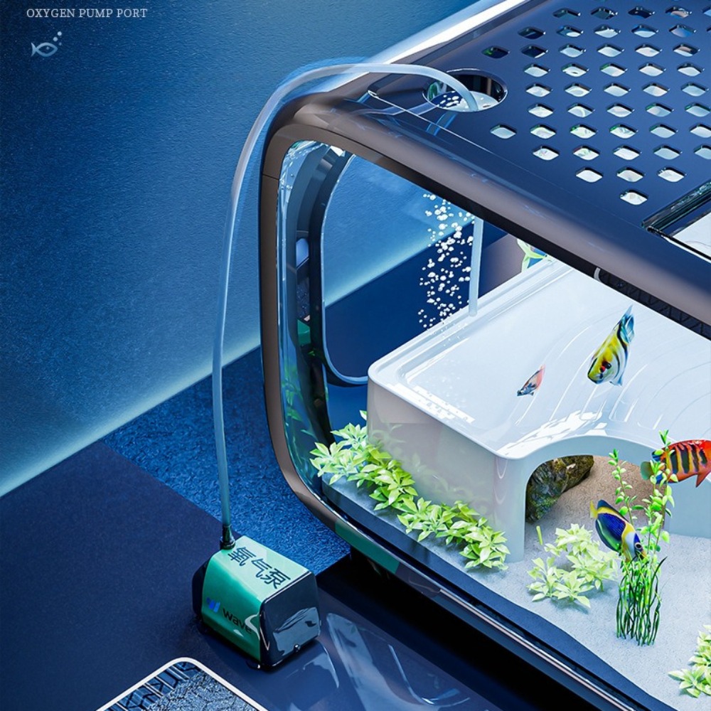 透明な高級水槽、耐久性のあるリビングルーム装飾、小型金魚水槽 - Aquarium Fish Goldfish のレビューと価格