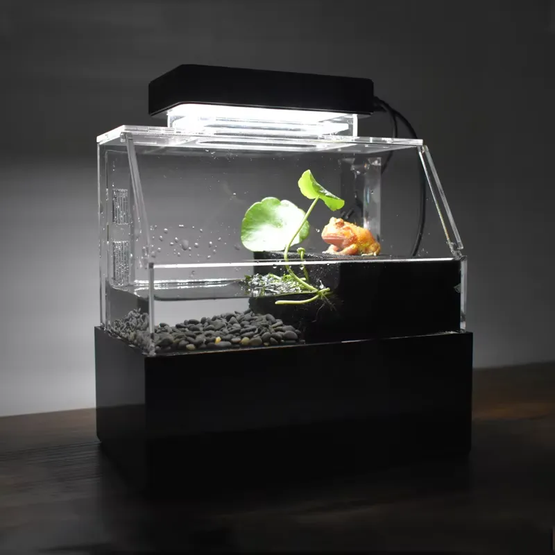 リラックスラインズ カスタムデスクトップ水槽 ミニラグジュア - Aquarium Fish Sale のレビューと価格