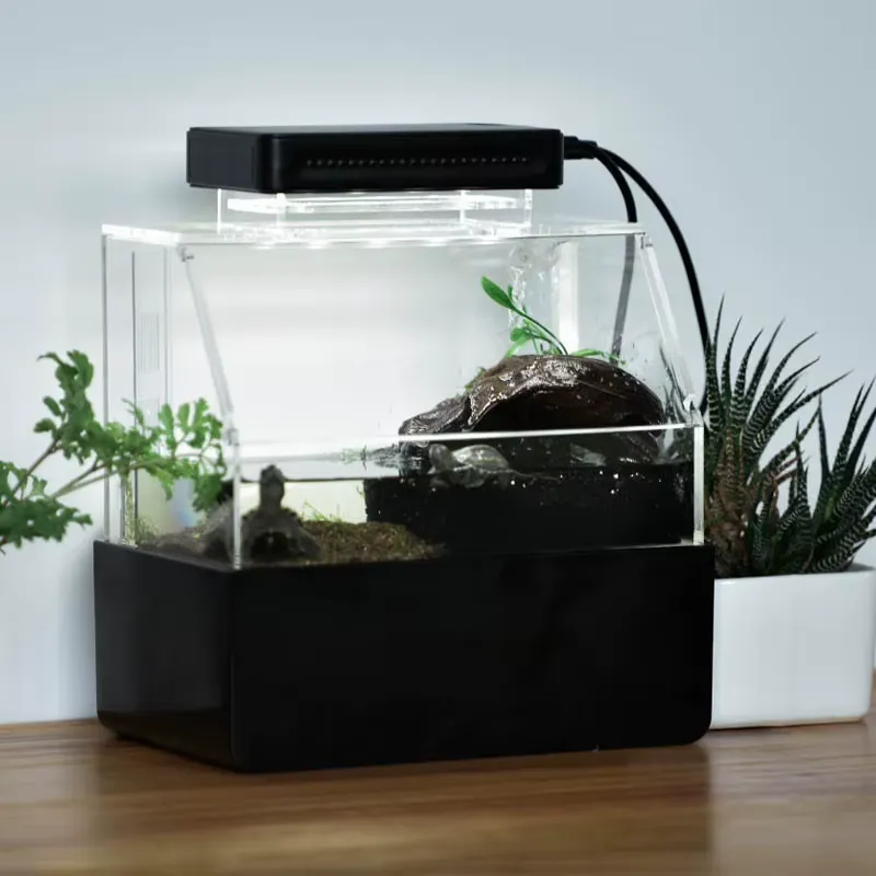 リラックスラインズ カスタムデスクトップ水槽 ミニラグジュア - Aquarium Fish Sale のレビューと価格
