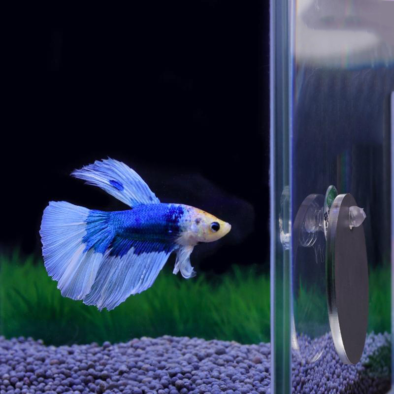 水槽ベタミラー水槽フローティングラウンドミラー魚ベタフラワー - Aquarium Fish Escape のレビューと価格