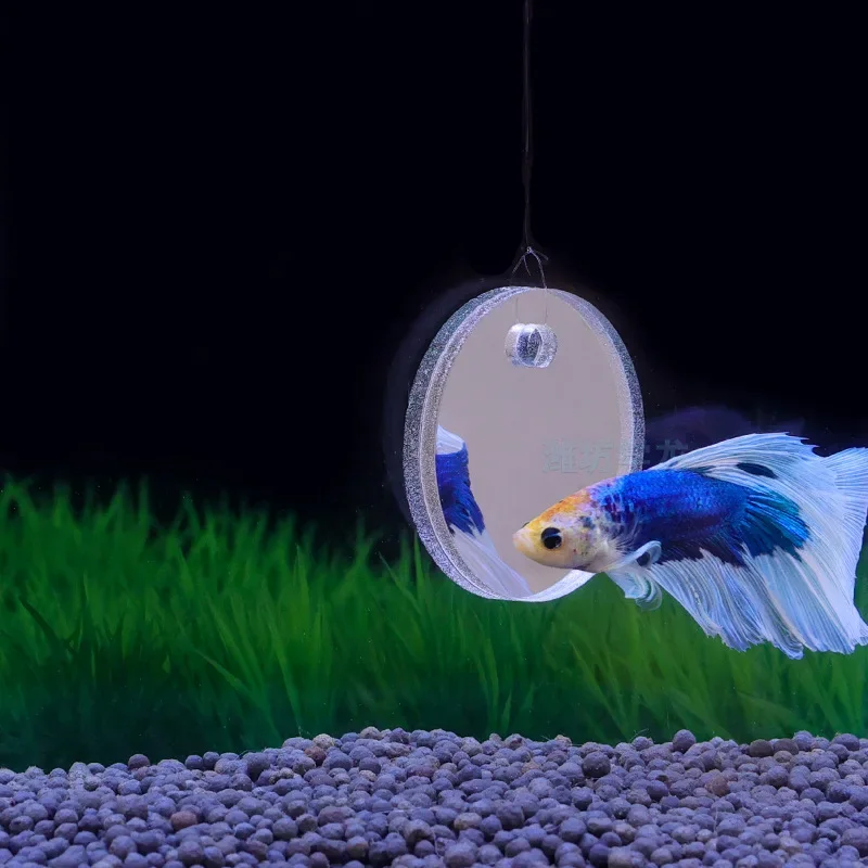 水槽ベタミラー水槽フローティングラウンドミラー魚ベタフラワー - Aquarium Fish Escape のレビューと価格