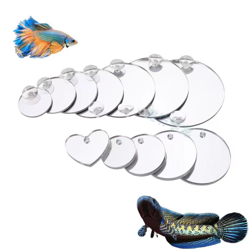 水槽ベタミラー水槽フローティングラウンドミラー魚ベタフラワー - Aquarium Fish Escape のレビューと価格