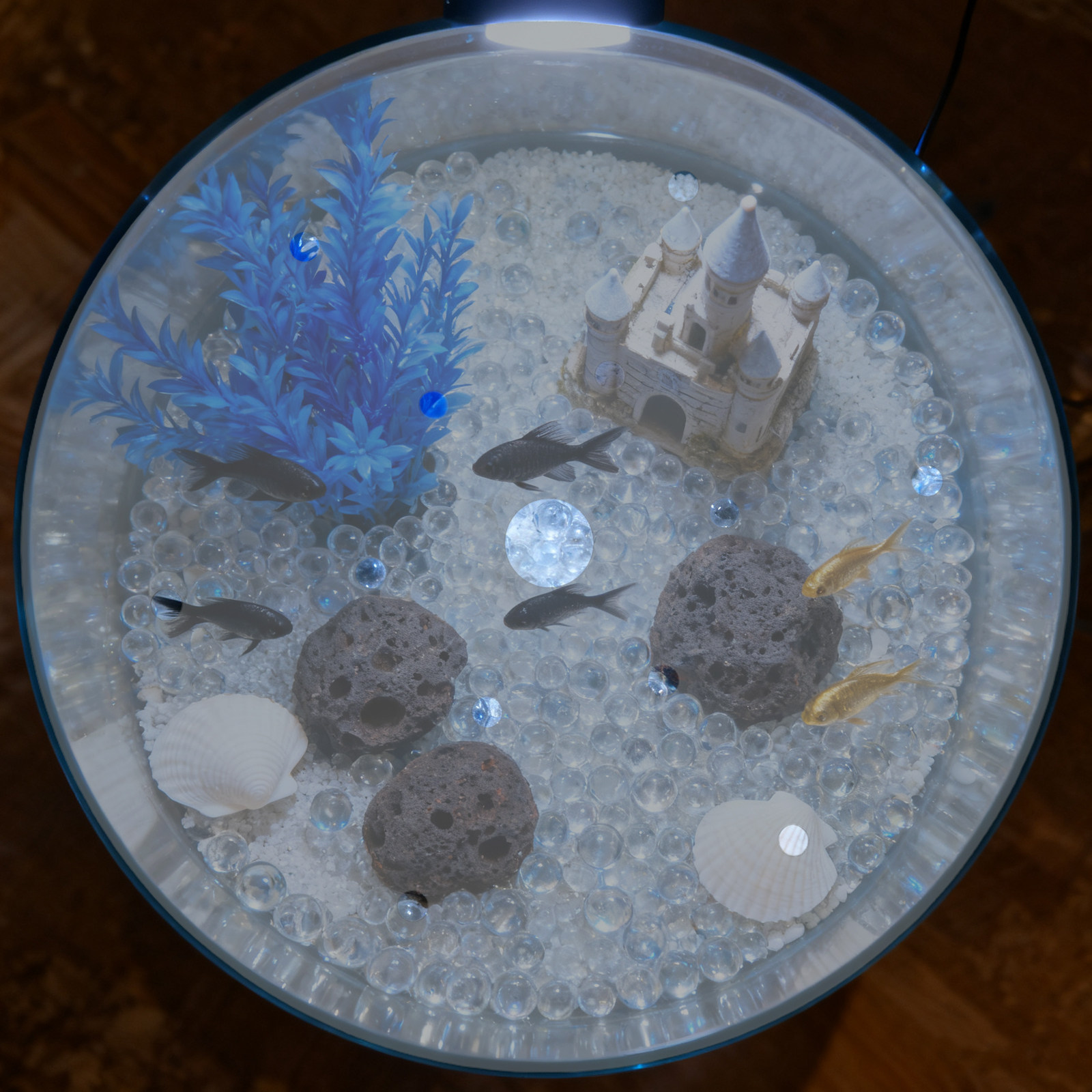 7 インチ丸型アクリル水槽カバー脱走防止蓋透明水槽保護プレー - Aquarium Fish Escape のレビューと価格