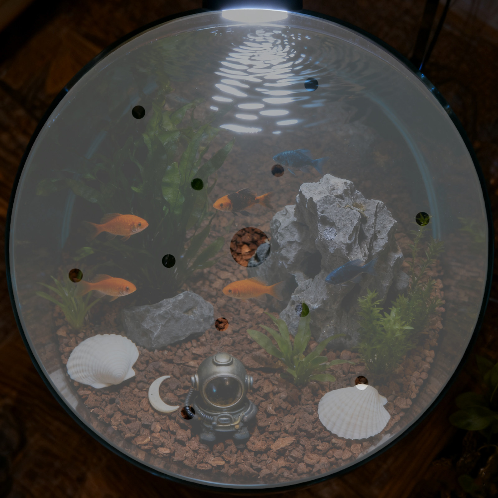 7 インチ丸型アクリル水槽カバー脱走防止蓋透明水槽保護プレー - Aquarium Fish Escape のレビューと価格